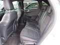Ford Kuga 2.5 PHEV ST-LINE X Led Navi 18 Inch Trekhaak 2021 Weiß - thumbnail 17