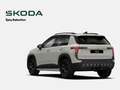 Skoda Epiq Selection 55 *AHK*SmartLink*Kamera*SHZ* Grau - thumbnail 5