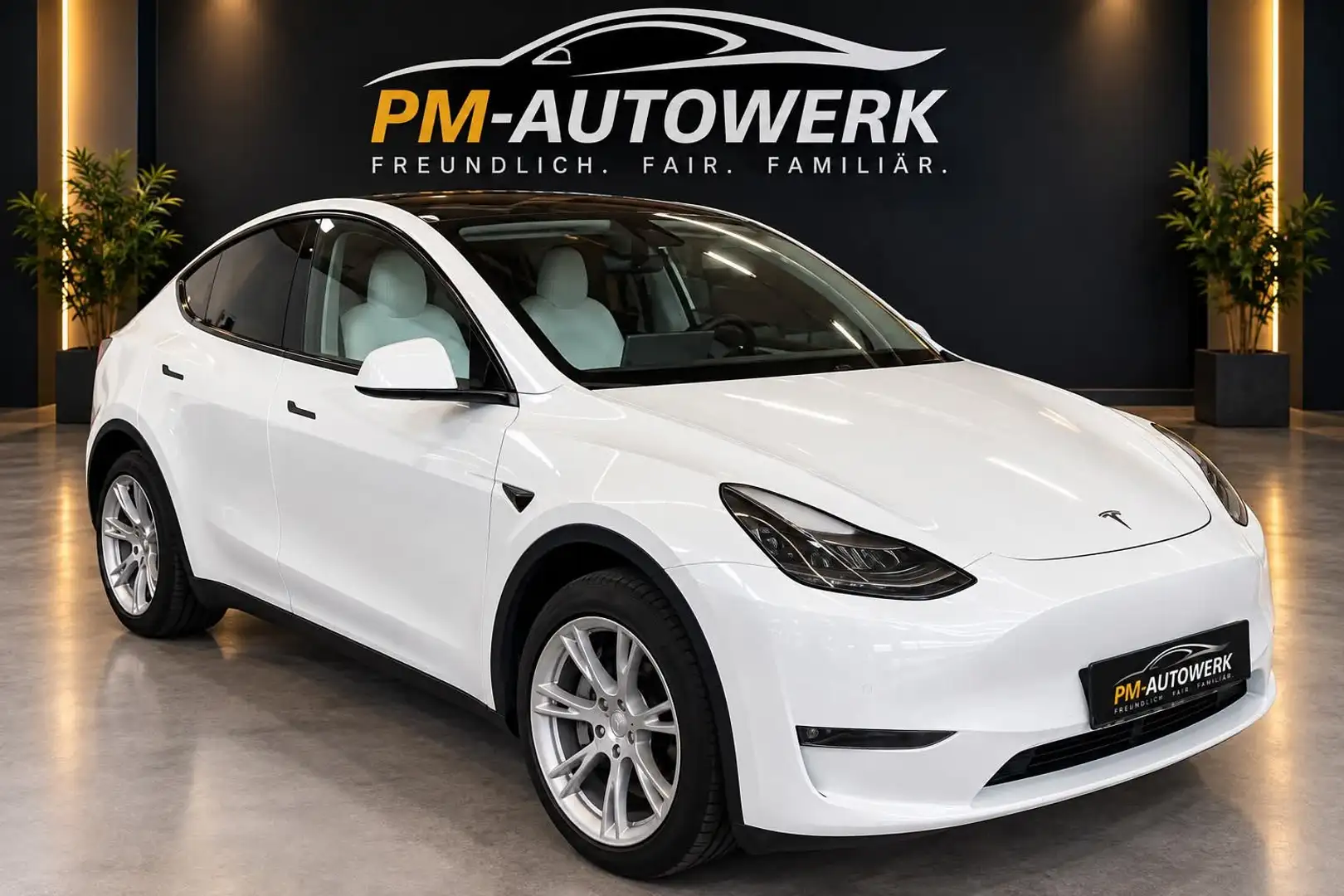 Tesla Model Y Long Range Dual AWD Weiß - 1
