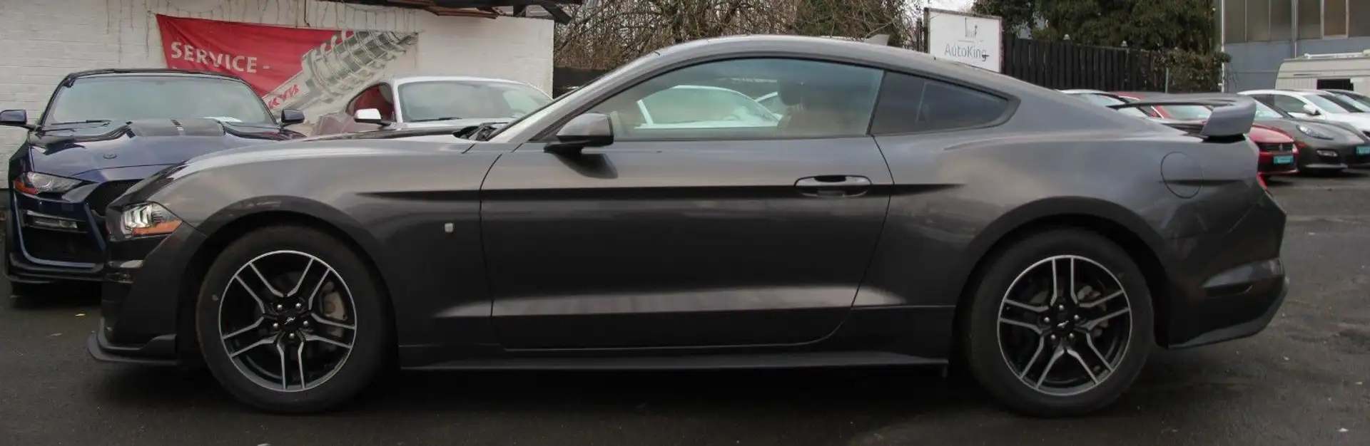 Ford Mustang 2.3 SHELBY55 Navi|Leder|SHZ|LED|10Gang Grau - 2