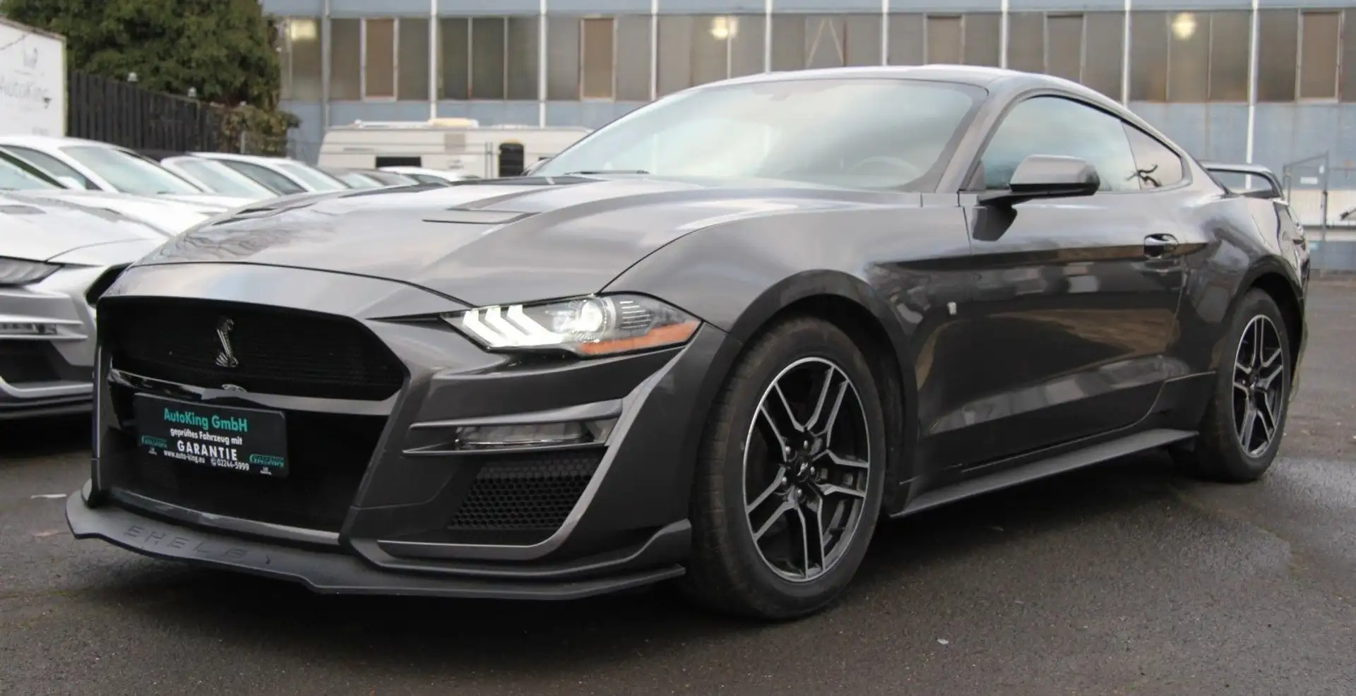 Ford Mustang 2.3 SHELBY55 Navi|Leder|SHZ|LED|10Gang Grau - 1