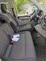 Volkswagen T6 Caravelle Kurz EU6 Comfortline - thumbnail 4