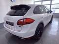 Porsche Cayenne Cayenne Diesel Tiptronic S Weiß - thumbnail 6