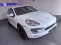 Porsche Cayenne Cayenne Diesel Tiptronic S Weiß - thumbnail 4