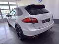 Porsche Cayenne Cayenne Diesel Tiptronic S Weiß - thumbnail 5