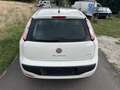 Fiat Punto Dynamic*1.Hand*Alu*ZV*Klima*GARANTIE*HU/AU NEU Weiß - thumbnail 6