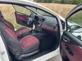 Fiat Punto Dynamic*1.Hand*Alu*ZV*Klima*GARANTIE*HU/AU NEU Weiß - thumbnail 11