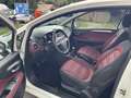 Fiat Punto Dynamic*1.Hand*Alu*ZV*Klima*GARANTIE*HU/AU NEU Weiß - thumbnail 9
