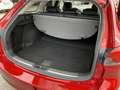 Mazda 6 Mazda6 Sport Combi CD184 Revolution Top Aut. Rot - thumbnail 21