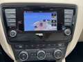 Skoda Octavia Elegance TDI DSG Marrone - thumbnail 14
