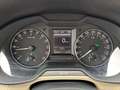 Skoda Octavia Elegance TDI DSG Marrone - thumbnail 13