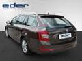 Skoda Octavia Elegance TDI DSG Marrone - thumbnail 6