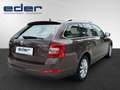 Skoda Octavia Elegance TDI DSG Marrone - thumbnail 4