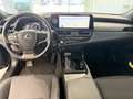 Lexus ES 300 h Schwarz - thumbnail 15