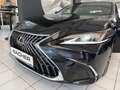 Lexus ES 300 h Schwarz - thumbnail 31