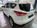 Ford Kuga 1.5 *SYNC EDIT*NAV*PTS*TMP*SHZ*KEY-FREE*MFL Blanc - thumbnail 9
