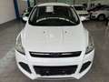 Ford Kuga 1.5 *SYNC EDIT*NAV*PTS*TMP*SHZ*KEY-FREE*MFL Blanc - thumbnail 3
