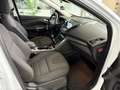 Ford Kuga 1.5 *SYNC EDIT*NAV*PTS*TMP*SHZ*KEY-FREE*MFL Weiß - thumbnail 21