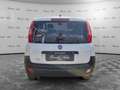 Fiat Panda Panda 1.3 MJT S&S 4x4 Pop Climbing Van 2 posti Bianco - thumbnail 6