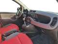 Fiat Panda Panda 1.3 MJT S&S 4x4 Pop Climbing Van 2 posti Bianco - thumbnail 13