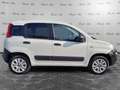 Fiat Panda Panda 1.3 MJT S&S 4x4 Pop Climbing Van 2 posti Bianco - thumbnail 4