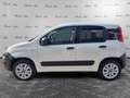 Fiat Panda Panda 1.3 MJT S&S 4x4 Pop Climbing Van 2 posti Bianco - thumbnail 8