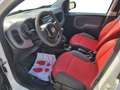 Fiat Panda Panda 1.3 MJT S&S 4x4 Pop Climbing Van 2 posti Bianco - thumbnail 10