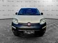 Fiat Panda Panda 1.3 MJT S&S 4x4 Pop Climbing Van 2 posti Bianco - thumbnail 1