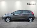 Ford Fiesta 1.0 EcoBoost Celebration PDC SHZ BT Grau - thumbnail 3