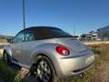 Volkswagen New Beetle Cabrio 1.9 tdi 105cv - thumbnail 6