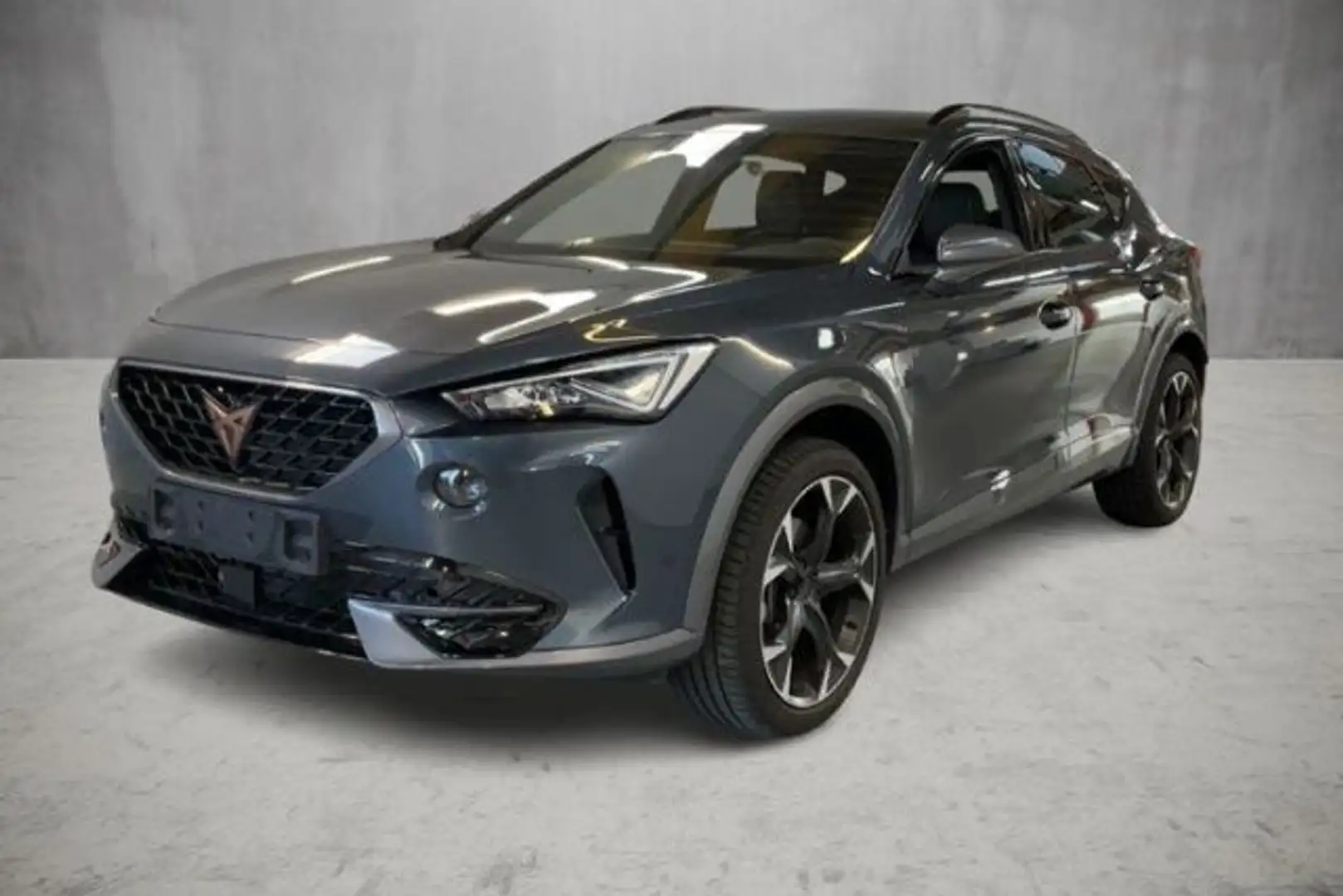 CUPRA Formentor CUPRA  1.5 TSI DSG Sitzhzg Rückfkam ACC Grau - 1