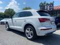 Audi Q5 40 2.0 TDI S LINE QUATTRO S/TRONIC-2 ANNI GARANZIA Blanco - thumbnail 7