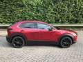 Mazda CX-30 SKYACTIV-X 2.0 M Hybrid 6AG HOMURA PRE-P Rot - thumbnail 4
