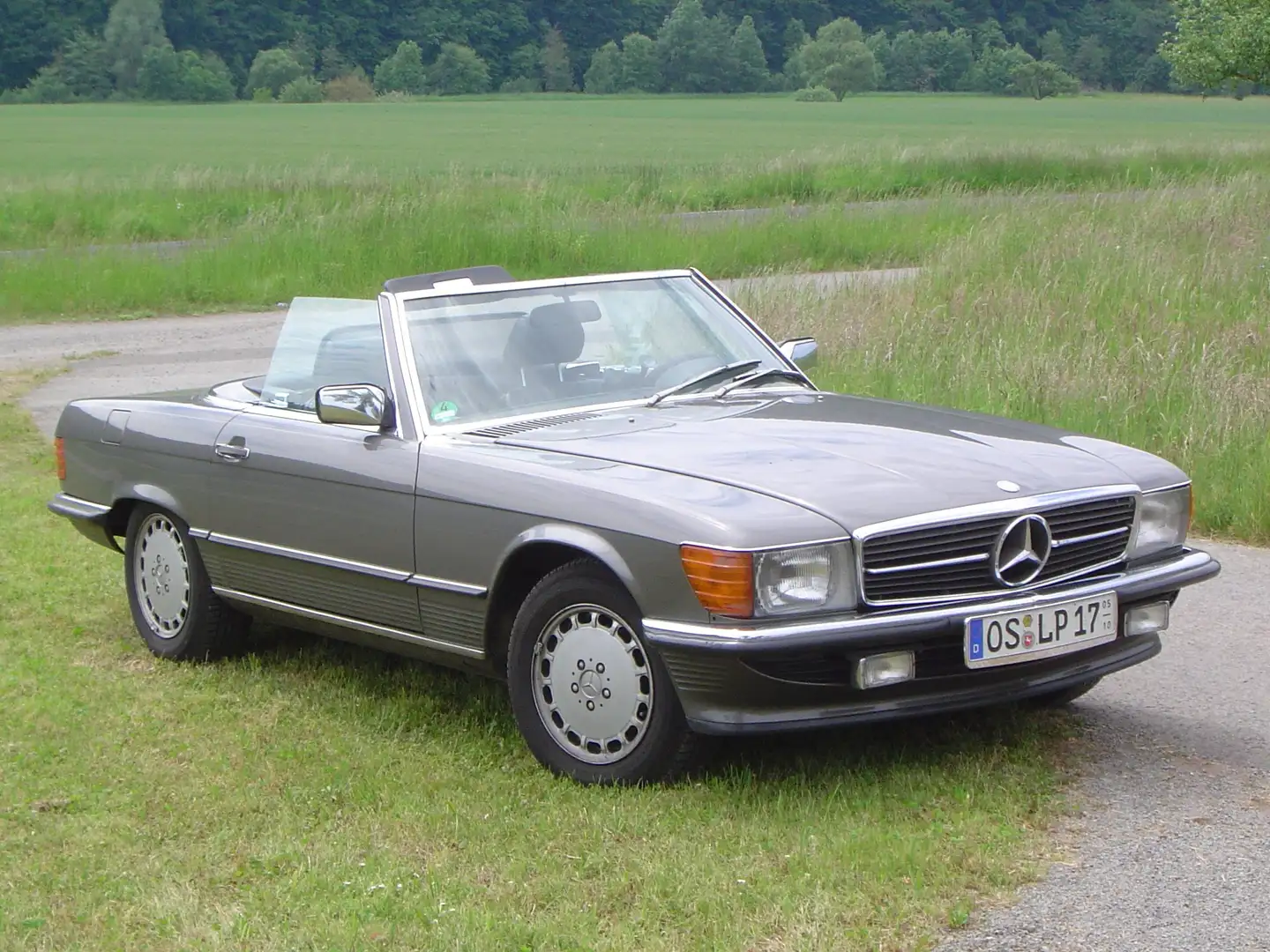 Mercedes-Benz SL 300 SL-Klasse Gri - 1