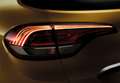 Renault Scenic 1.9dCi Family Edition Marrón - thumbnail 33