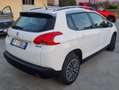 Peugeot 2008 1.4 hdi 8v Active 68cv Blanc - thumbnail 3