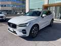 Volvo XC60 B4 (d) Geartronic Momentum Pro Bianco - thumbnail 1