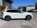 Volvo XC60 B4 (d) Geartronic Momentum Pro Bianco - thumbnail 4