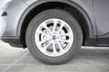 Ford Kuga Kuga 1.5 EcoBlue 120 CV aut. 2WD Titanium Business Grau - thumbnail 14