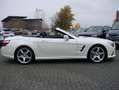 Mercedes-Benz SL 500 Roadster AMG Magic Sky H&K Distronic Blanc - thumbnail 5