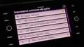 Volkswagen Tiguan 2.0 TDI 150 CV SCR DSG Elegance Gris - thumbnail 12