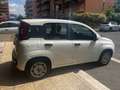 Fiat Panda Panda III 2012 1.2 Easy 69cv E6 *PROMO* Blanc - thumbnail 3