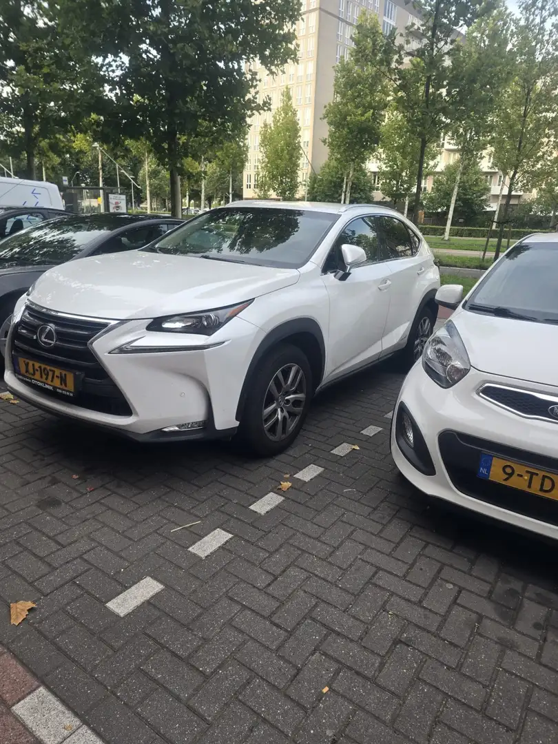 Lexus NX 300h - 1