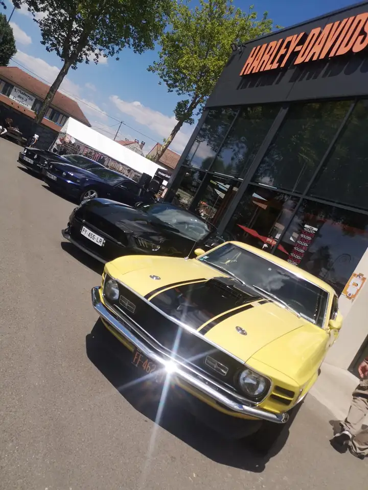 Ford Mustang Mach 1, foto 4