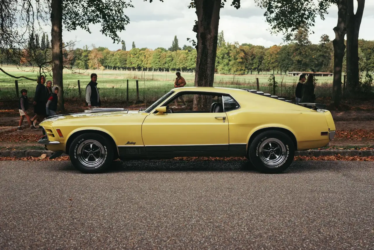 Ford Mustang Mach 1, foto 3