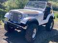Jeep CJ-5 Renegade Weiß - thumbnail 2