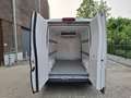 Peugeot Boxer 2.0 HDi L3 H2 Frigo Blanc - thumbnail 9