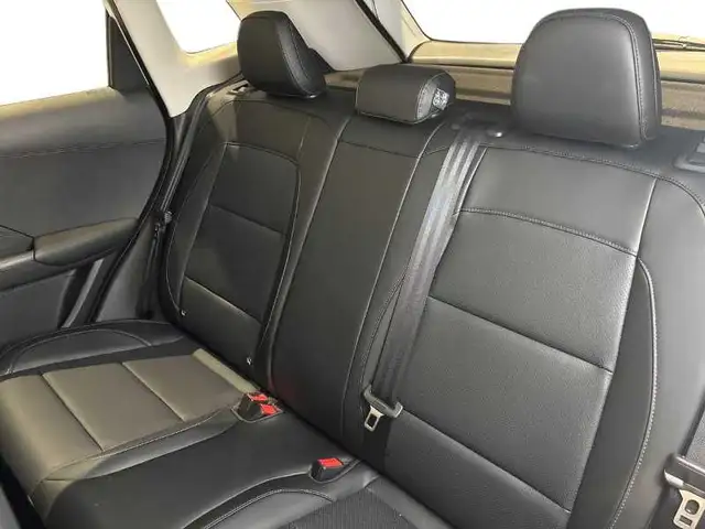 MG ZS view 9