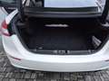 Maserati Ghibli Ghibli  3.0 V6 ds 275cv auto Weiß - thumbnail 13