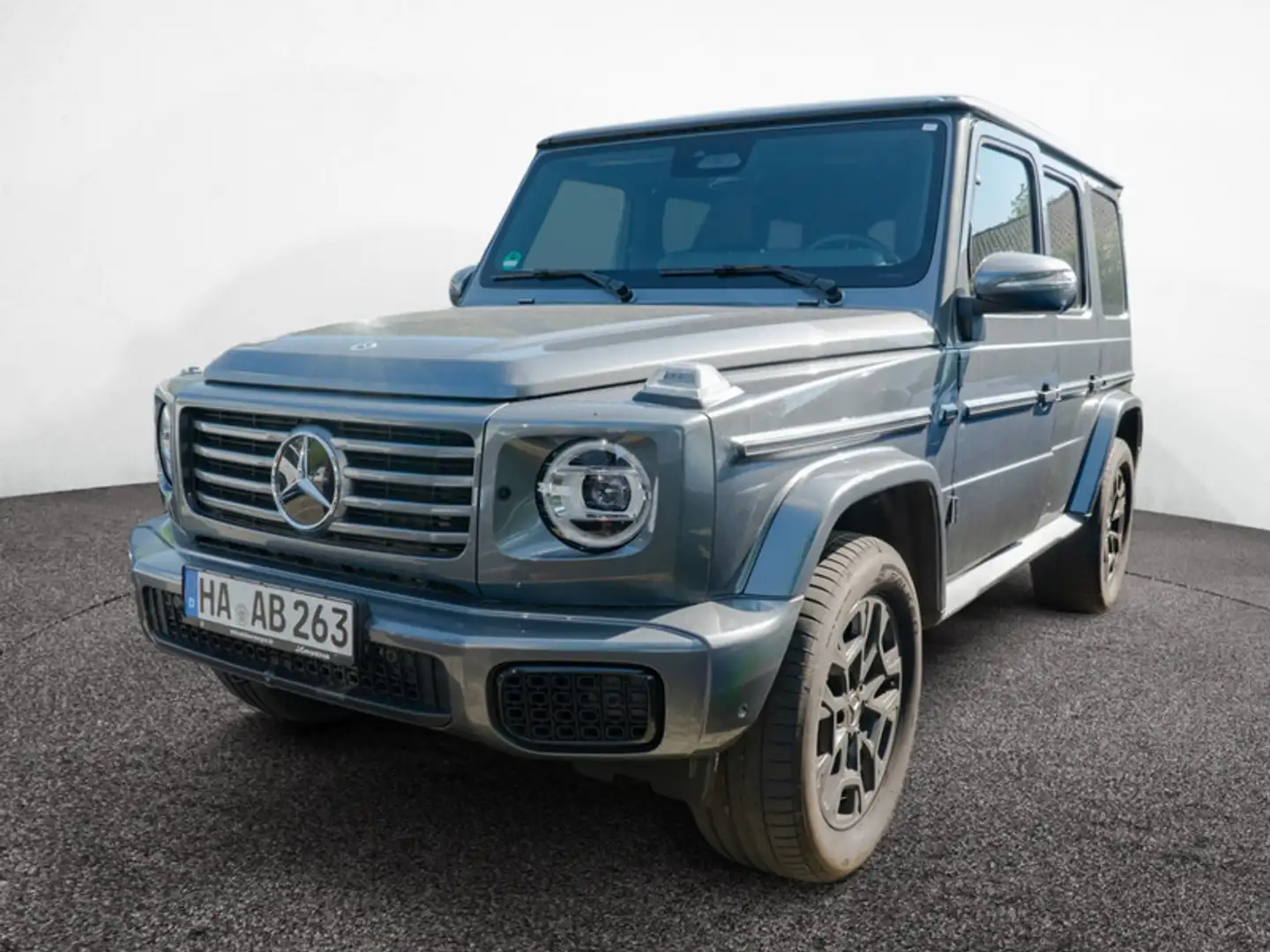 Mercedes-Benz G 450 d PROFFESSIONAL/MLB/Technik/SHD/AHK/Burm Grau - 2